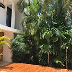 Naranja 2